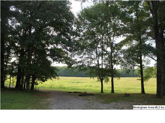 291 Keeler Mill Road, Unit 1 Montevallo, AL 35115 - Photo 19 of 20
