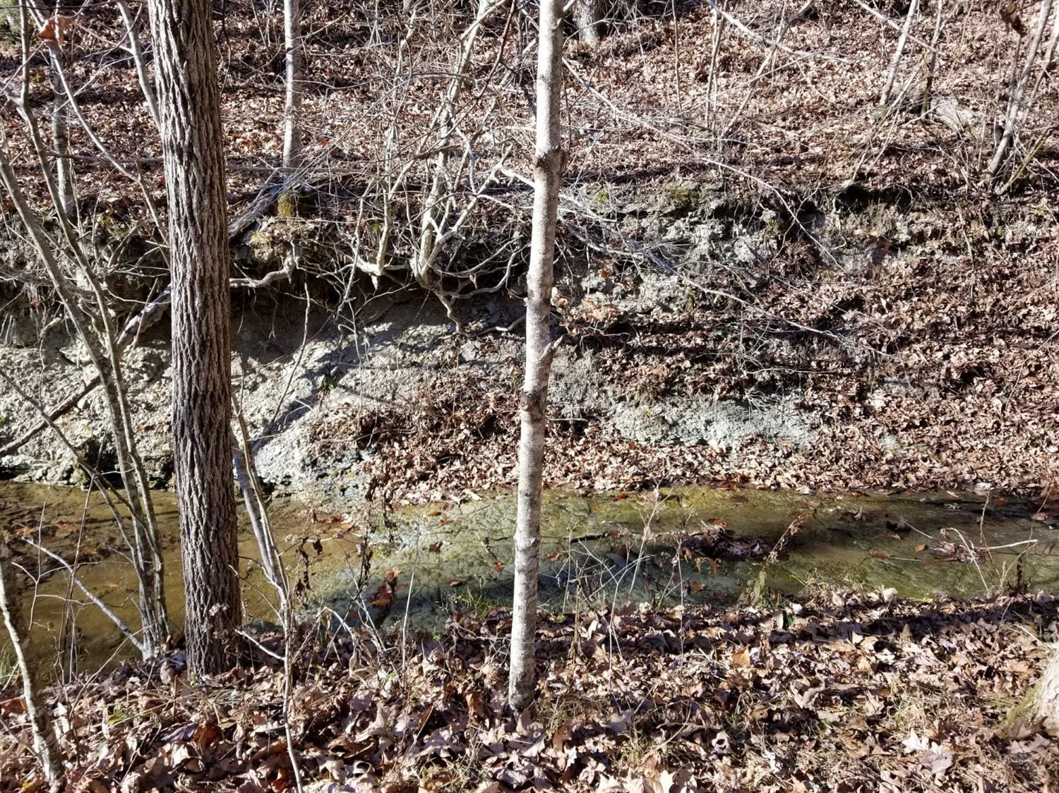1670 Pointer Creek Road Science Hill, KY 42553 - Photo 27 of 41 28097_23