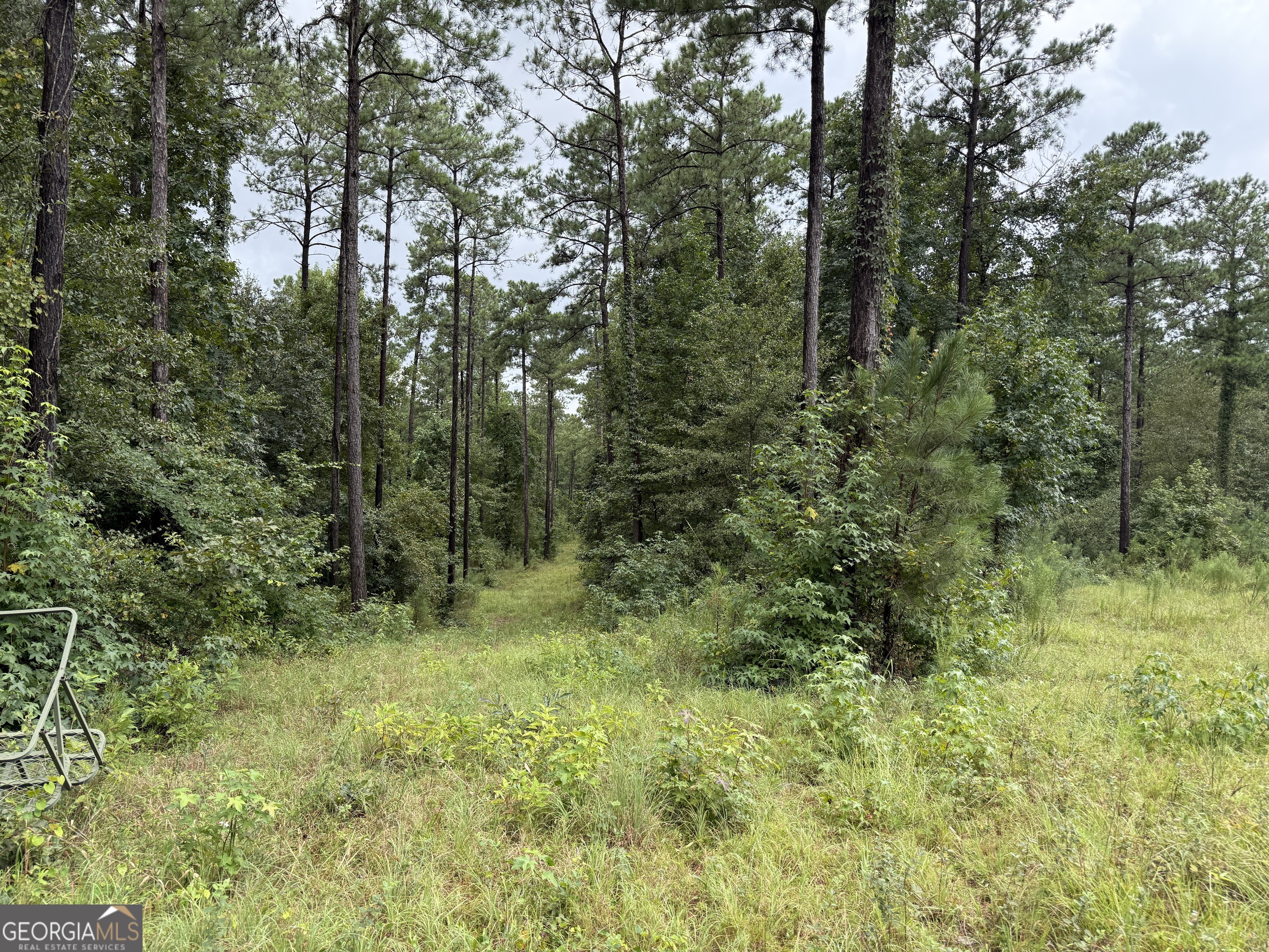 39.87-acres Irby Road Gibson, GA 30810 - Photo 35 of 56 Gallery Image 35
