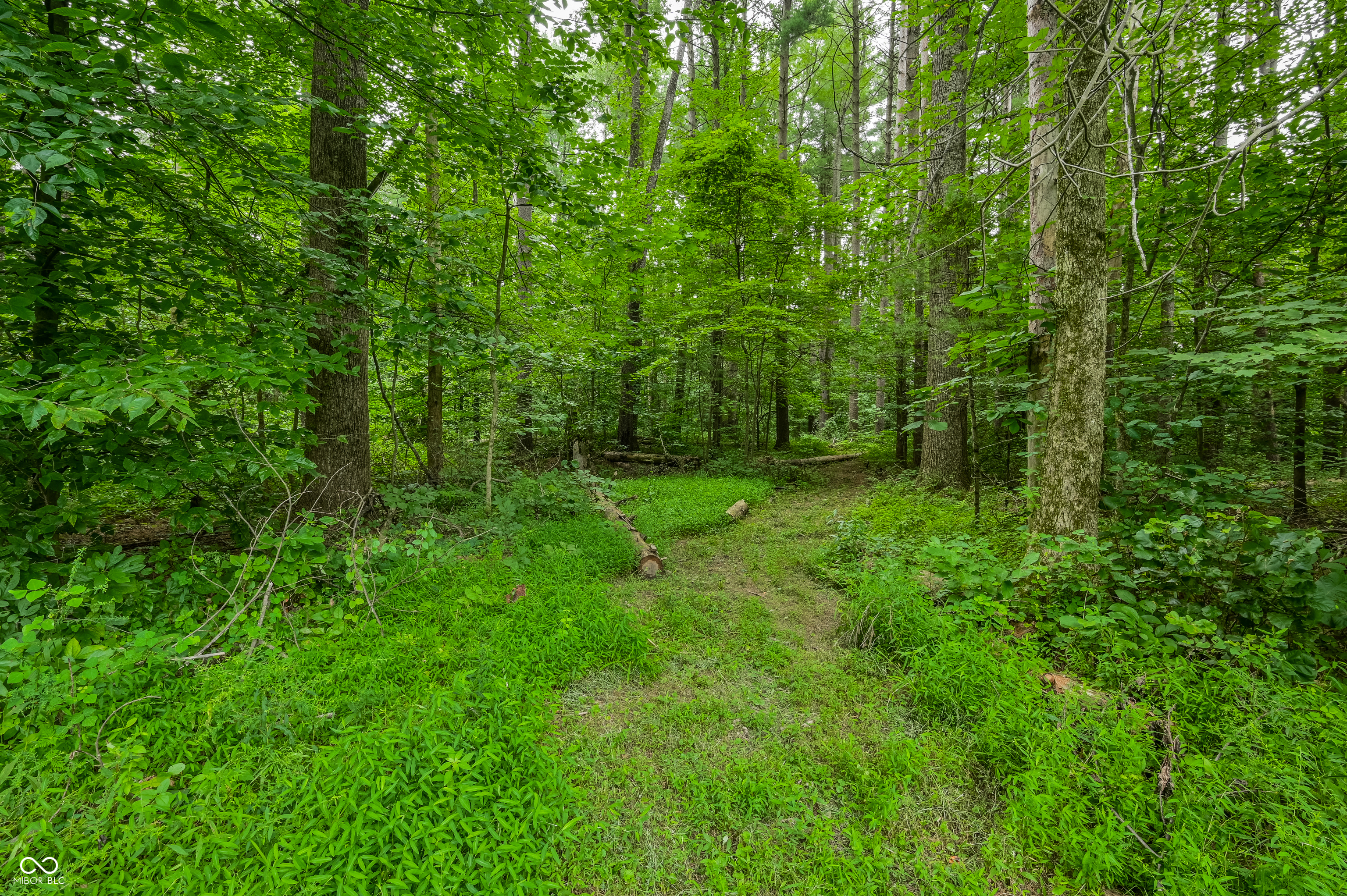 5994 Pine Tree Lane Road Morgantown, IN 46160 - Photo 55 of 61