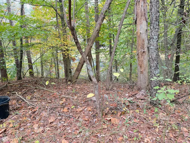 $595,000 | 5994 Pine Tree Lane Road, Morgantown, IN 46160