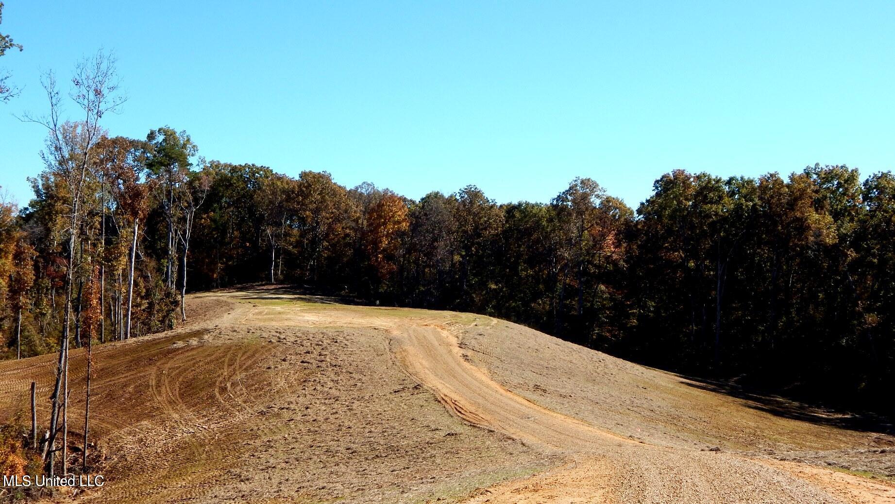 6700 Pea Ridge Road Grenada, MS 38901 - Photo 1 of 18 Land