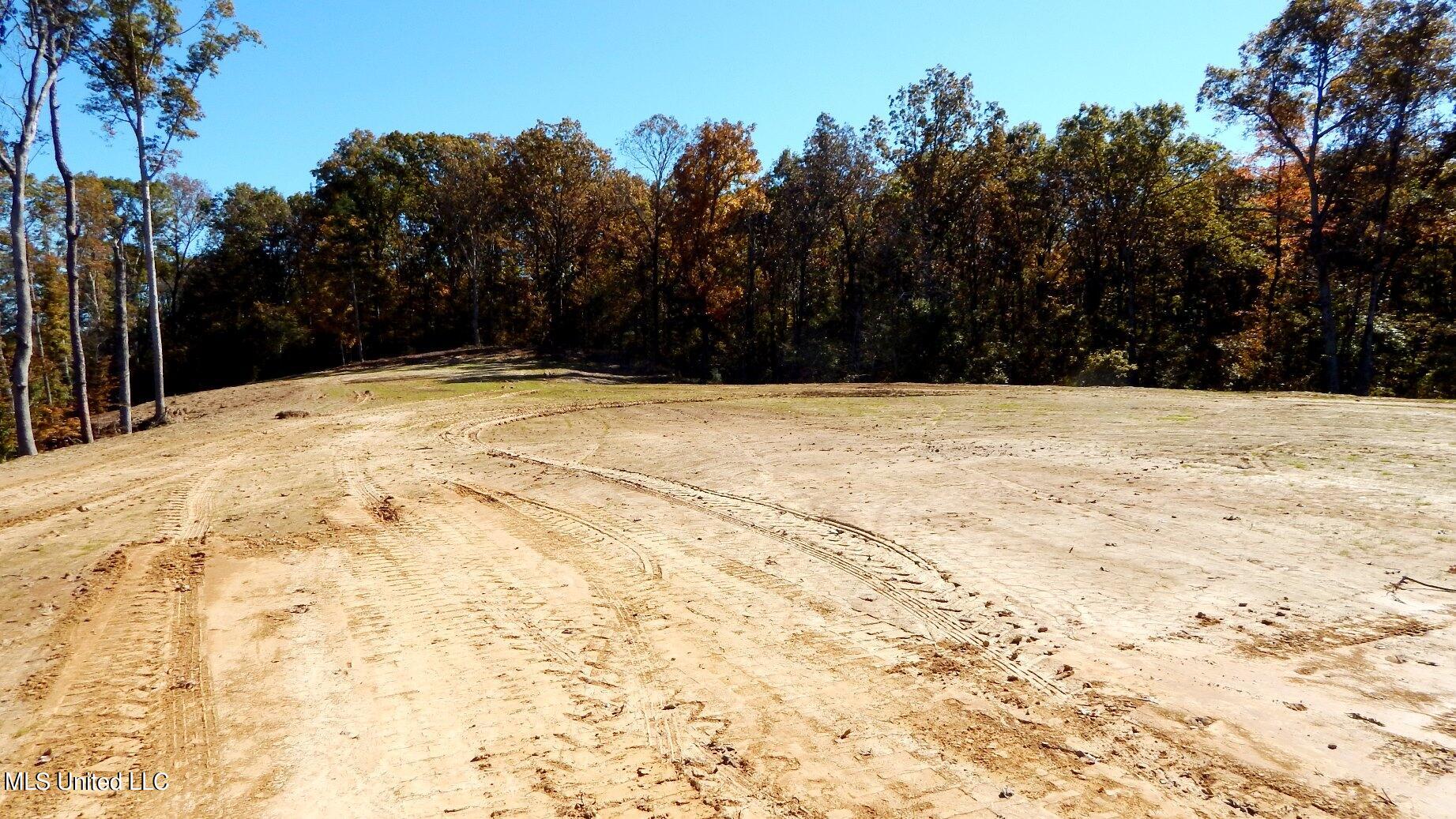 6700 Pea Ridge Road Grenada, MS 38901 - Photo 3 of 18 1aSmart 200
