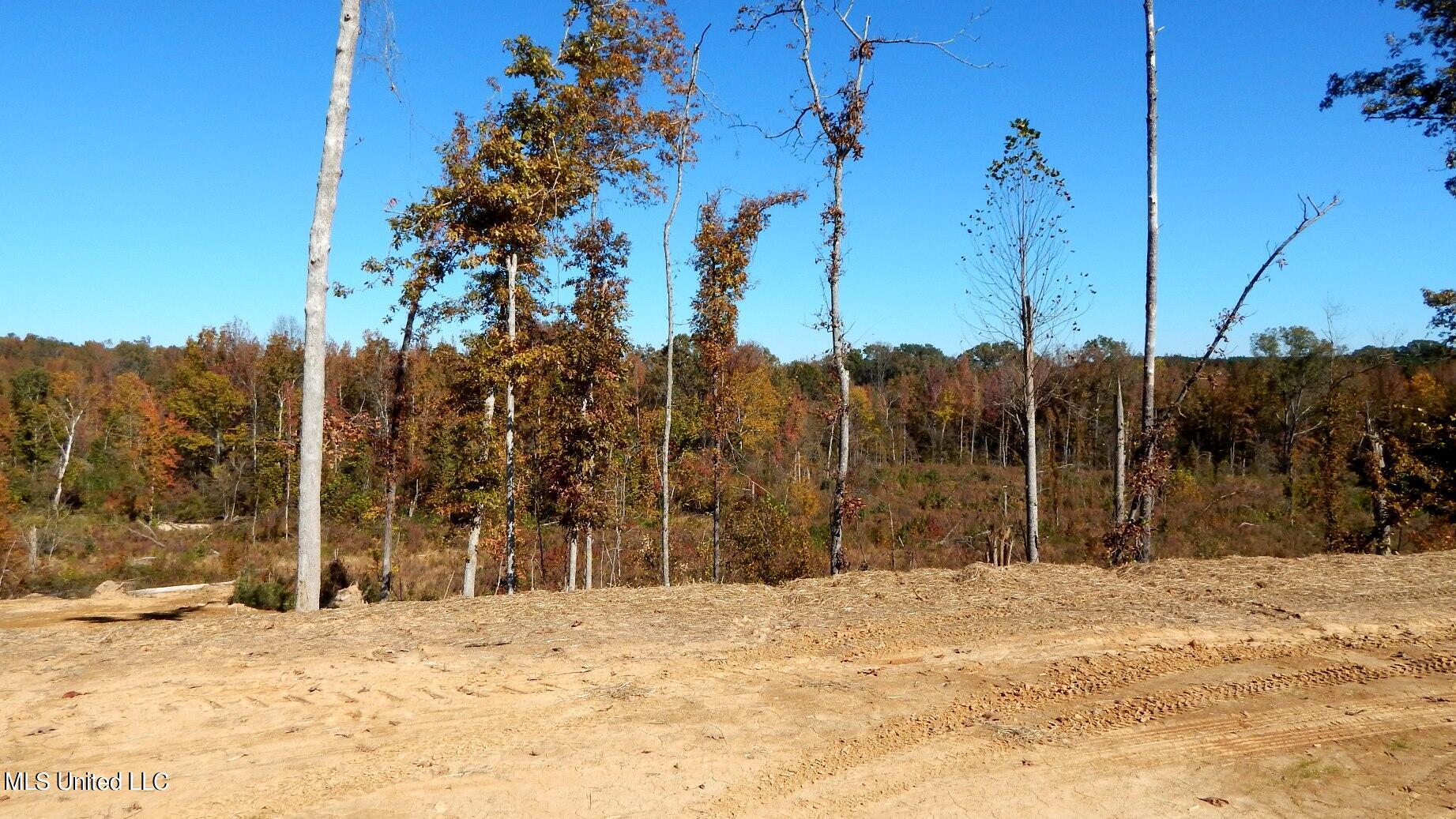6700 Pea Ridge Road Grenada, MS 38901 - Photo 4 of 18 1aSmart 202