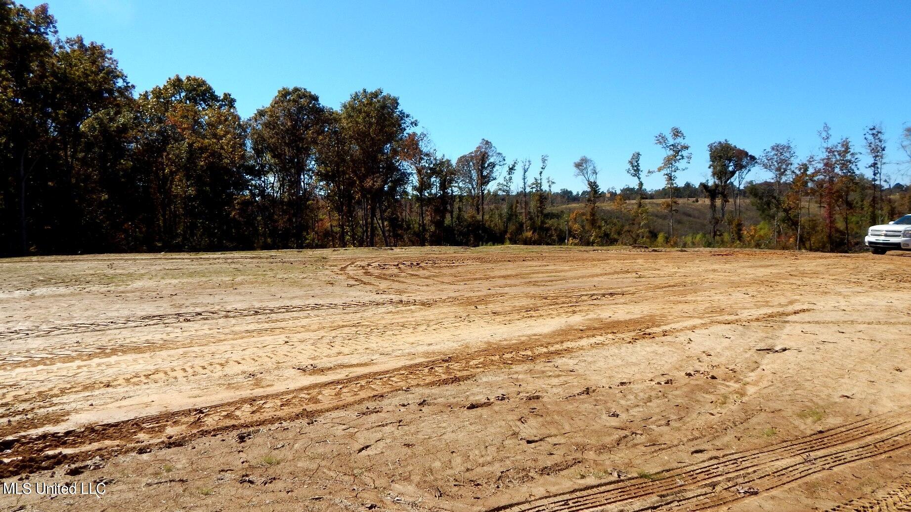 6700 Pea Ridge Road Grenada, MS 38901 - Photo 6 of 18 1aSmart 205