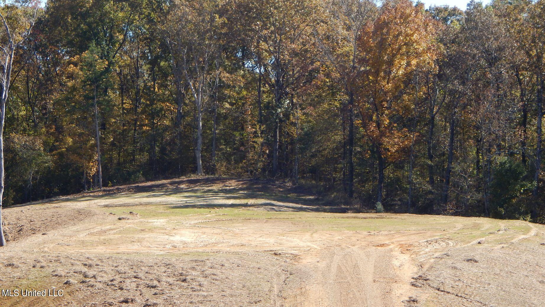 6700 Pea Ridge Road Grenada, MS 38901 - Photo 7 of 18 1aSmart 208