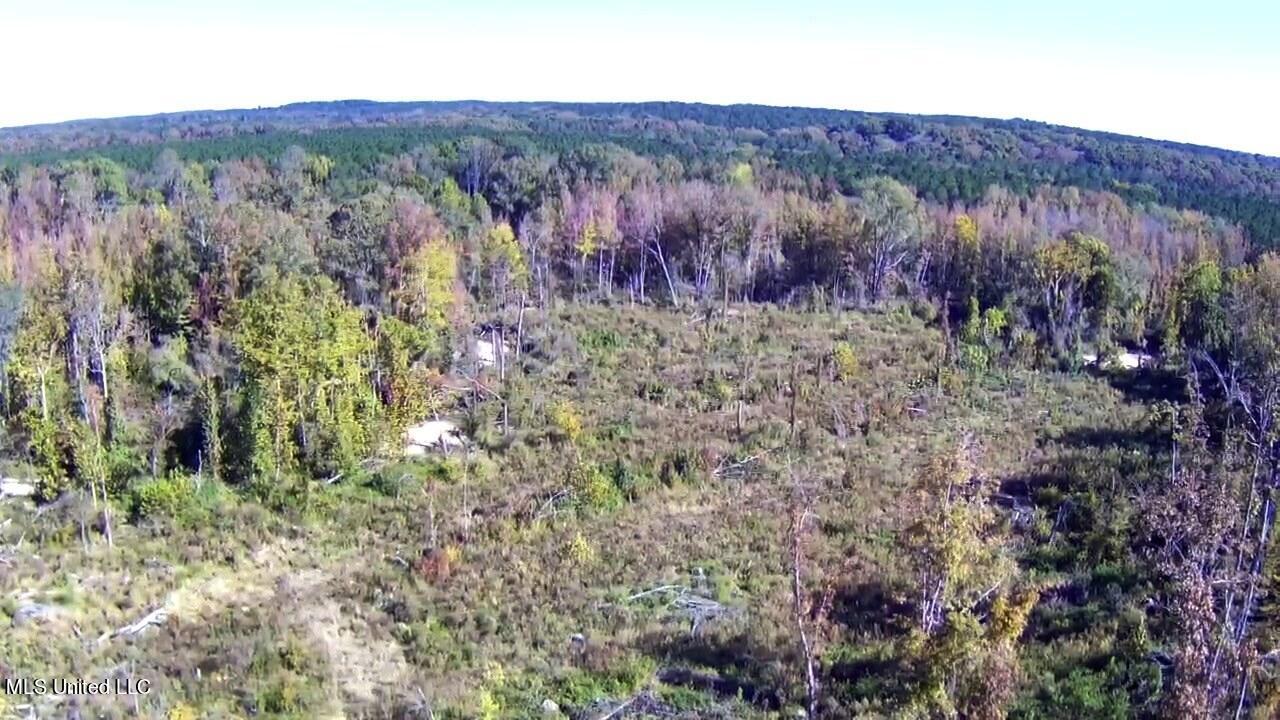 6700 Pea Ridge Road Grenada, MS 38901 - Photo 8 of 18 2