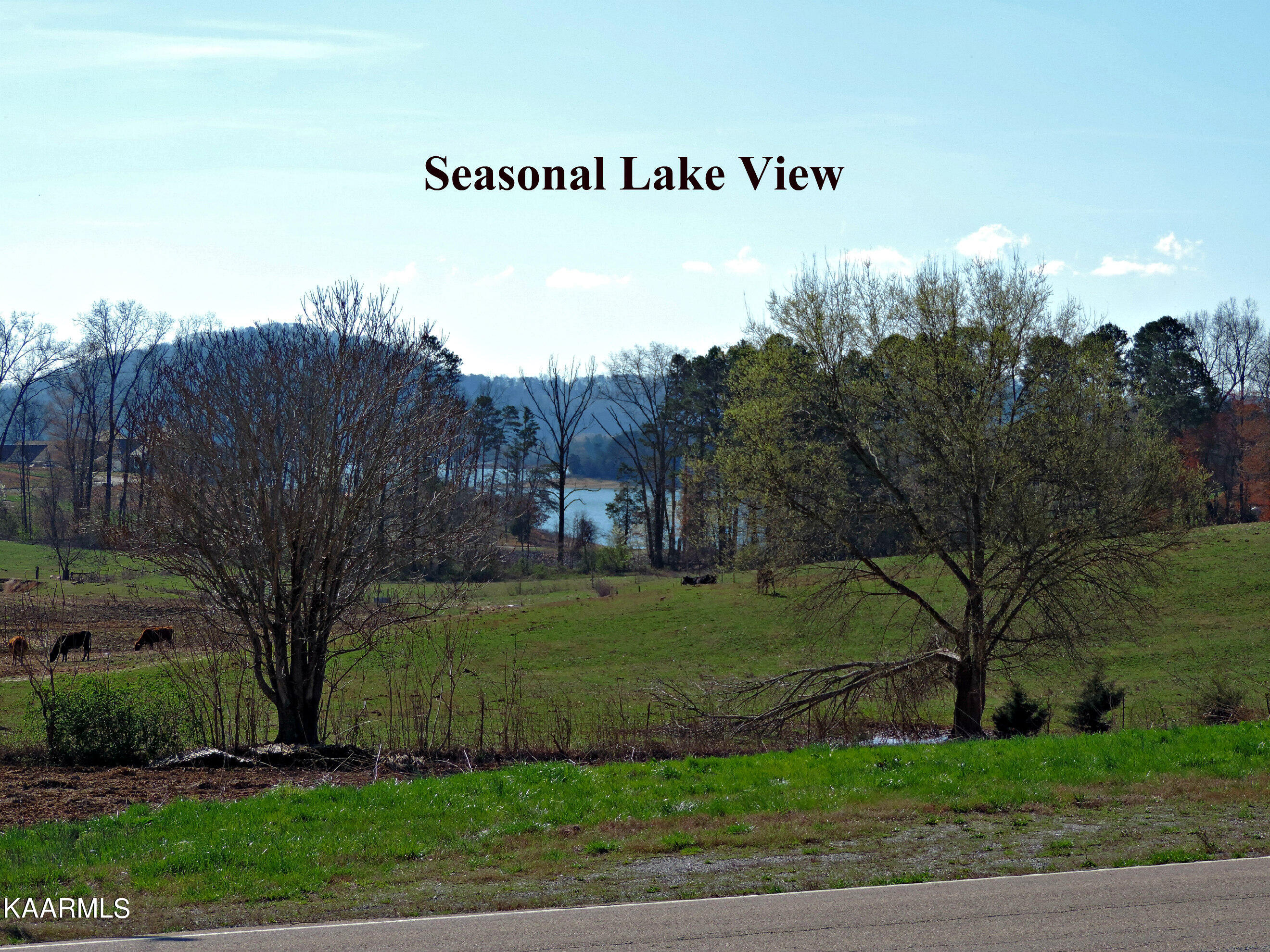 168 Water Way Drive Rutledge, TN 37861 - Photo 14 of 25 DSCN4802