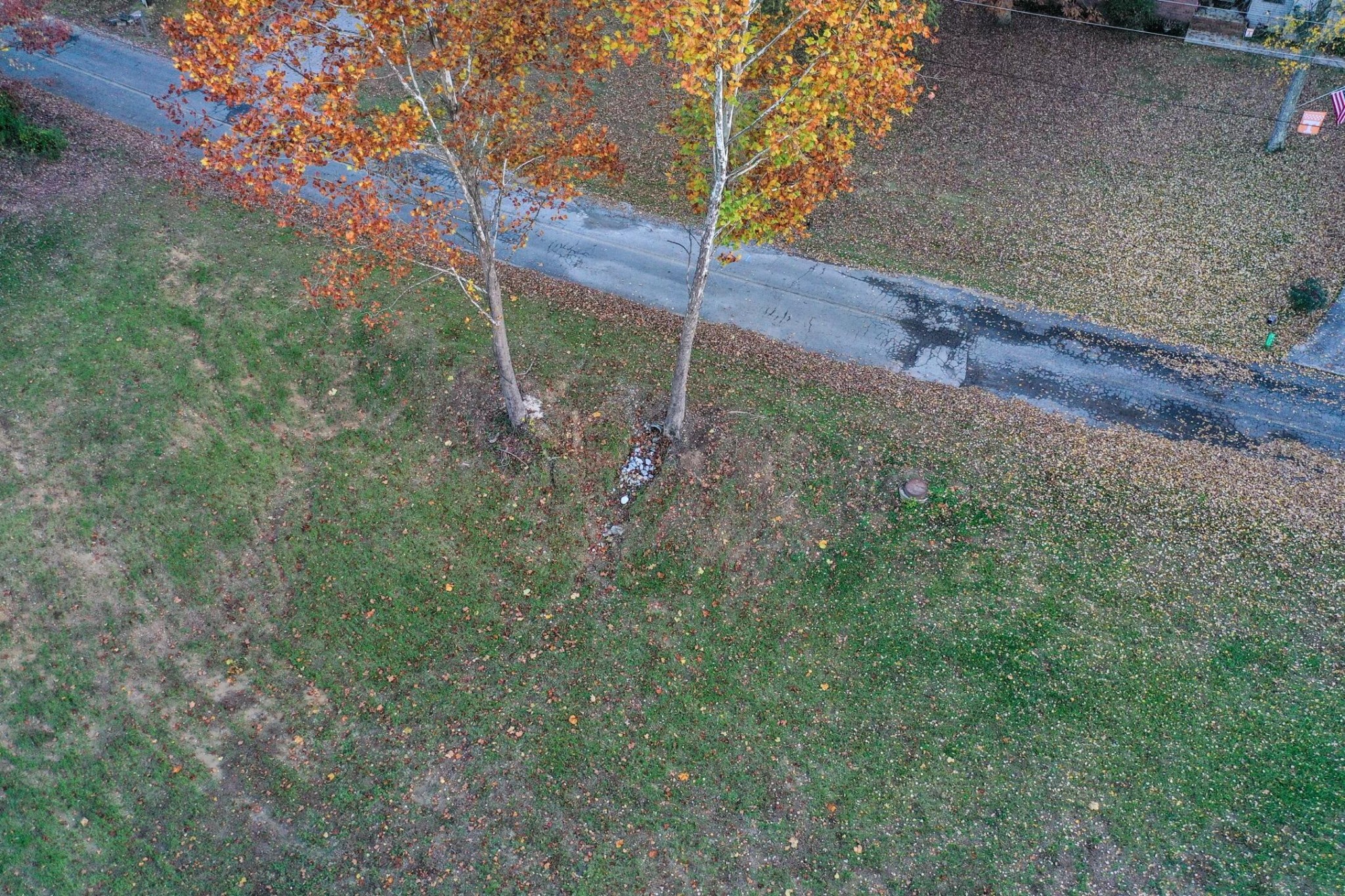 0 Northridge Drive Decatur, TN 37322 - Photo 4 of 8 a view of a backyard