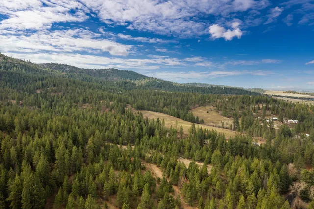 $380,000 | 179-xx East Belmont Road, Unit LOT #2, Mica, WA 99023