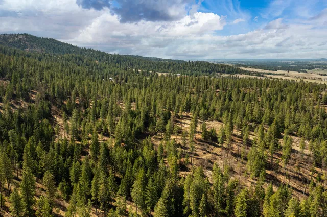 $380,000 | 179-xx East Belmont Road, Unit LOT #2, Mica, WA 99023