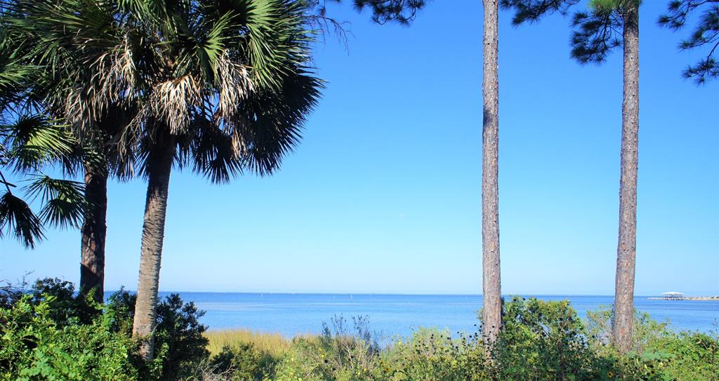 873 Jones Homestead Road Port St. Joe, FL 32456 - Photo 5 of 7 Gallery Image 5