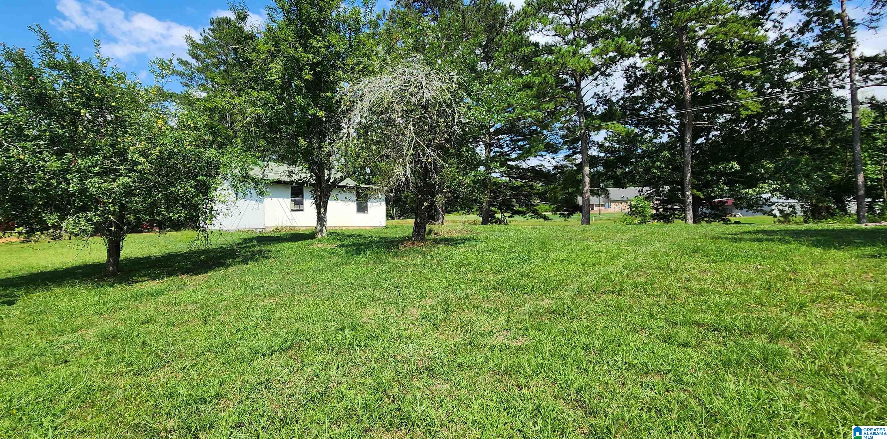 4204 County Road 29 Oneonta, AL 35121 - Photo 10 of 36