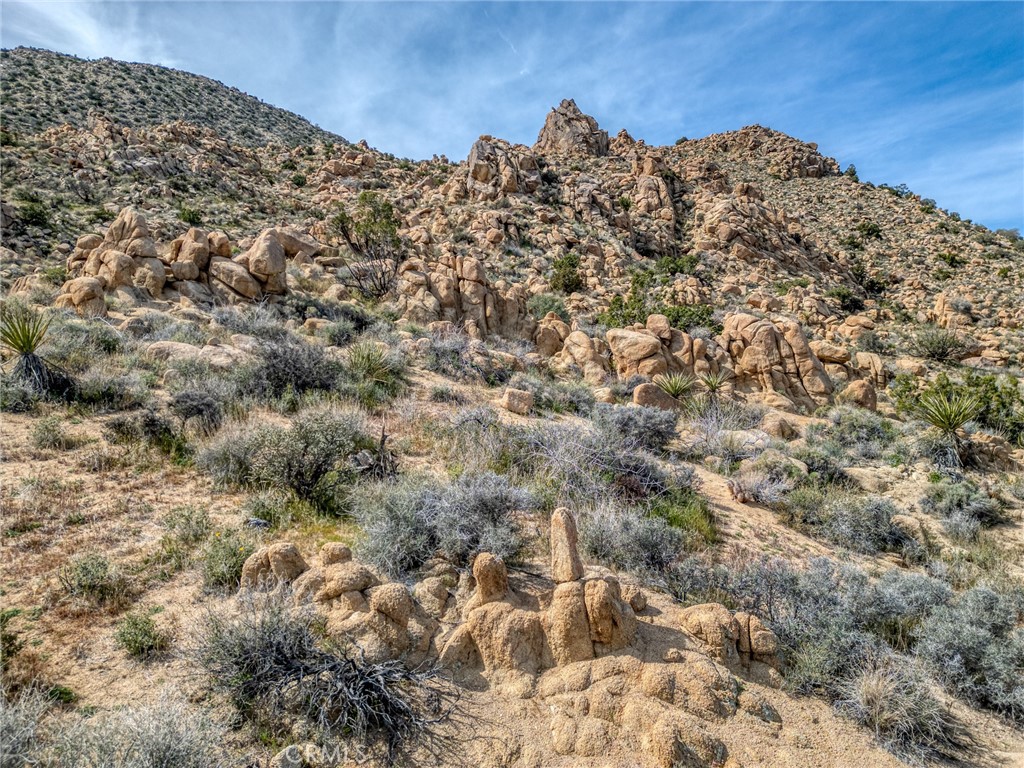 8900 Sunset Road Joshua Tree, CA 92252 - Photo 19 of 33