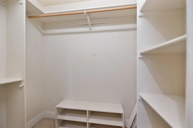 a view of a yard with plants and a tree