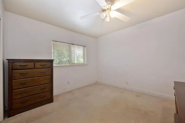 a view of a yard with plants and trees