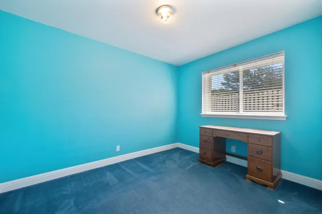 a view of a yard with plants and trees