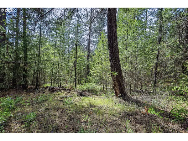 $60,000 | Nka Forest, Unit 38, Goldendale, WA 98620