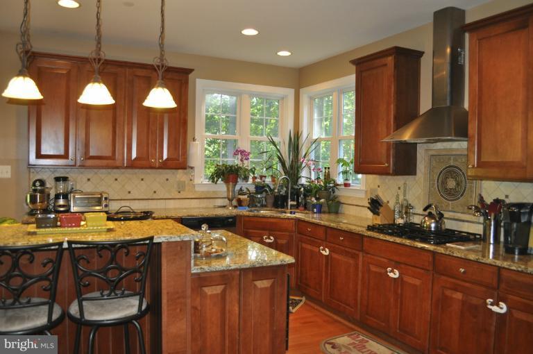 7706 Talbot Run Road Mount Airy, MD 21771 - Photo 3 of 25 Kitchen