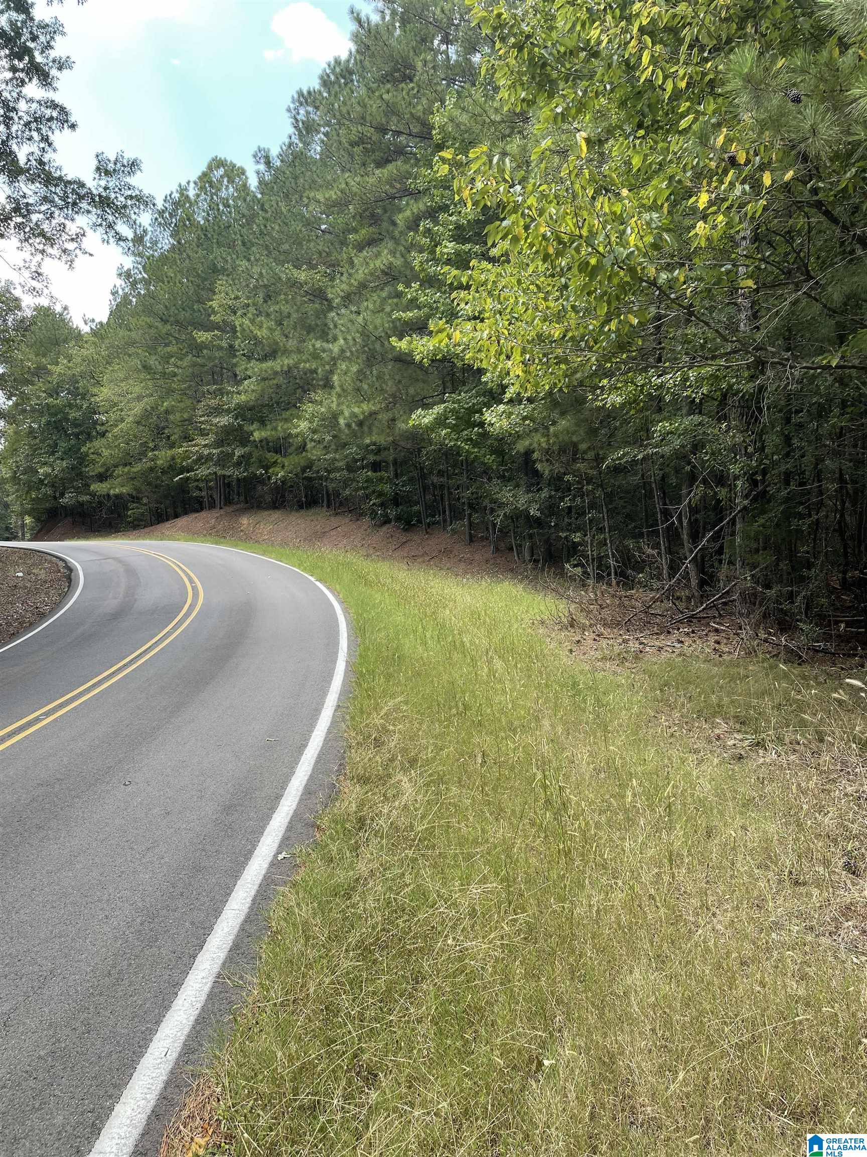 3000 Self Creek Road, Unit LOT 1 Warrior, AL 35180 - Photo 4 of 4