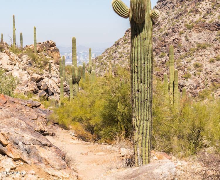 2907 East Amber Ridge Way Phoenix, AZ 85048 - Photo 33 of 37 Endless Hiking