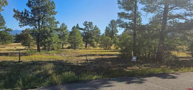 $259,000 | 1570 Cool Pines Drive, Pagosa Springs, CO 81147
