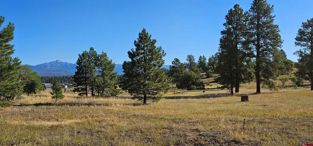 a view of outdoor space with trees all around