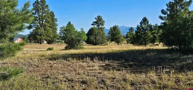 a view of outdoor space with trees all around