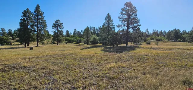 a view of outdoor space and front view of a house