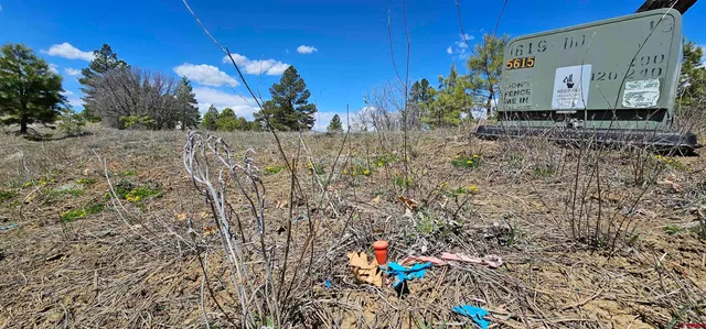 $259,000 | 1570 Cool Pines Drive, Pagosa Springs, CO 81147