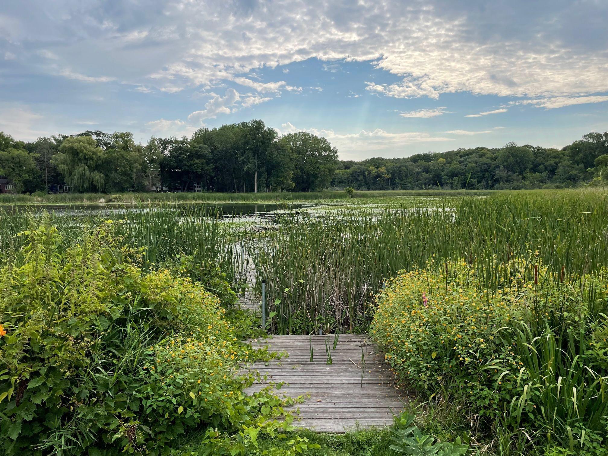 3465 Deephaven Avenue Deephaven, MN 55391 - Photo 53 of 63