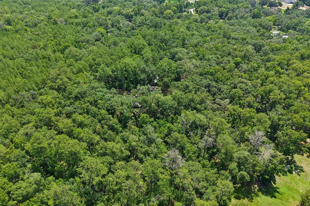 6221 Emerson Road Brooksville, FL 34601 - Photo 38 of 45