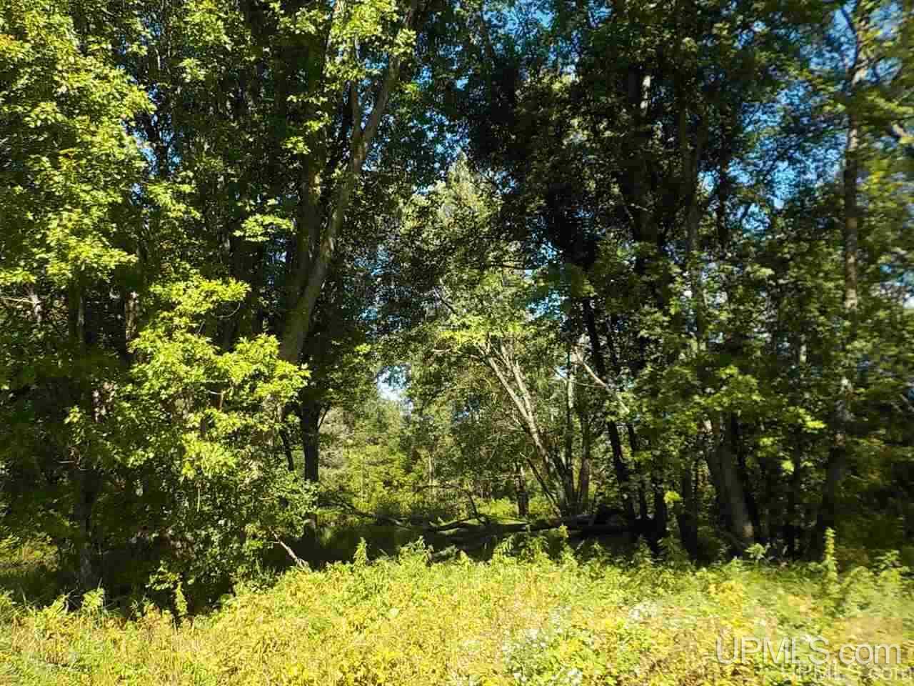 Tbd Parks Farm Road Iron River, MI 49920 - Photo 15 of 31