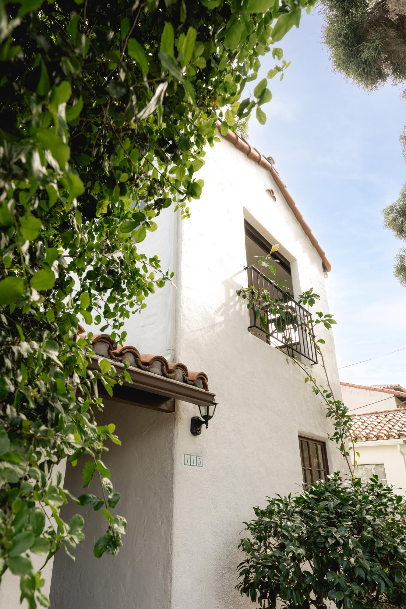 115 West Junipero Street Santa Barbara, CA 93105 - Photo 29 of 30 a picture of a tree