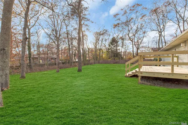 a view of a park with large trees