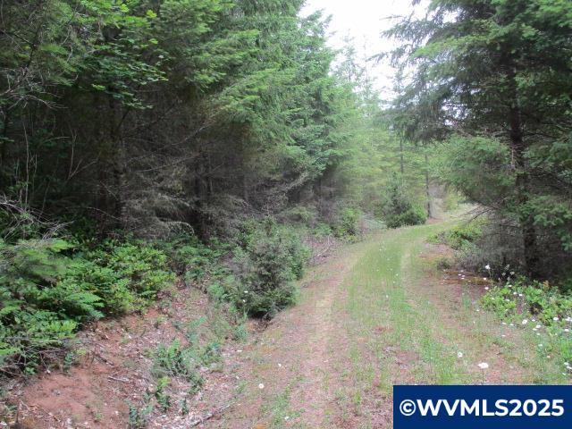 0 Gruber South Road Estacada, OR 97023 - Photo 17 of 30