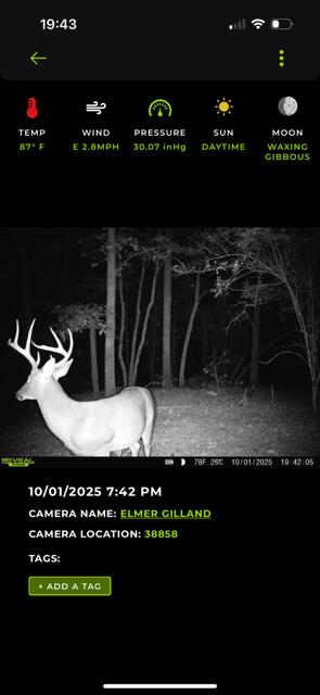 40-ac State Line Road Southeast Tremont, MS 38876 - Photo 13 of 15 Gallery Image 13