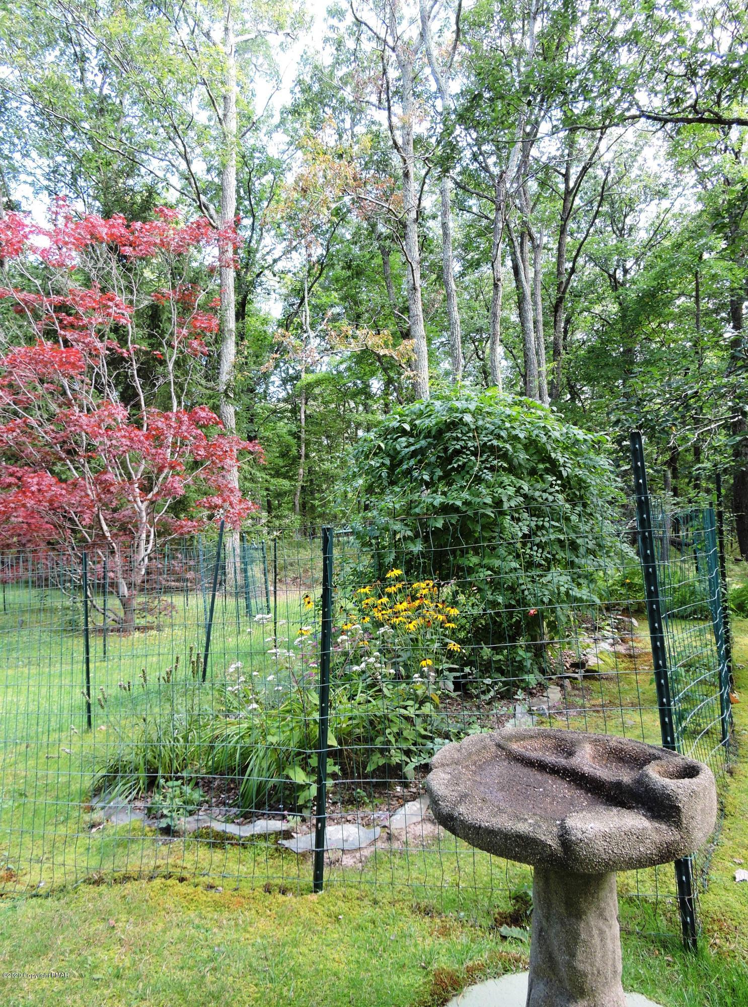 5541 Birch Road Canadensis, PA 18325 - Photo 15 of 50 Fenced In Landscaping