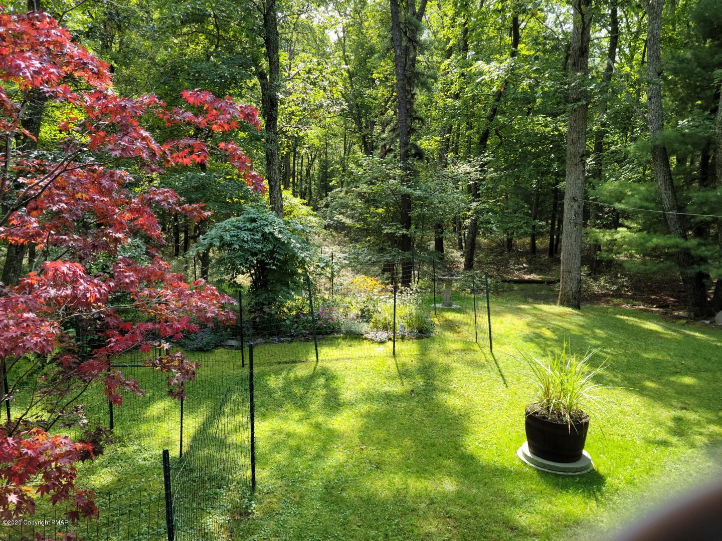 5541 Birch Road Canadensis, PA 18325 - Photo 36 of 50 Mature Landscaping