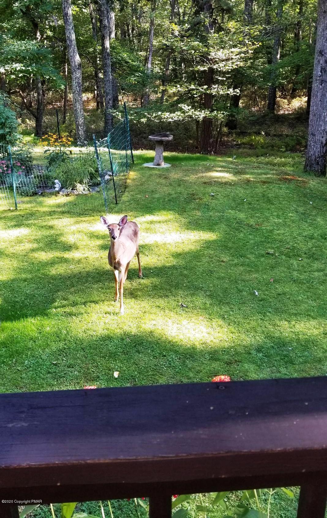 5541 Birch Road Canadensis, PA 18325 - Photo 7 of 50 Honey I'm Home!