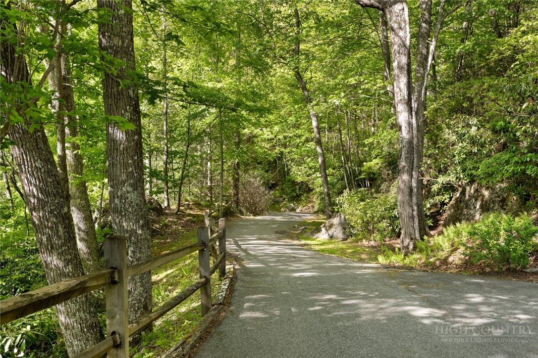 246 Mulberry Lane Boone, NC 28607 - Photo 49 of 49 a view of beach and tree