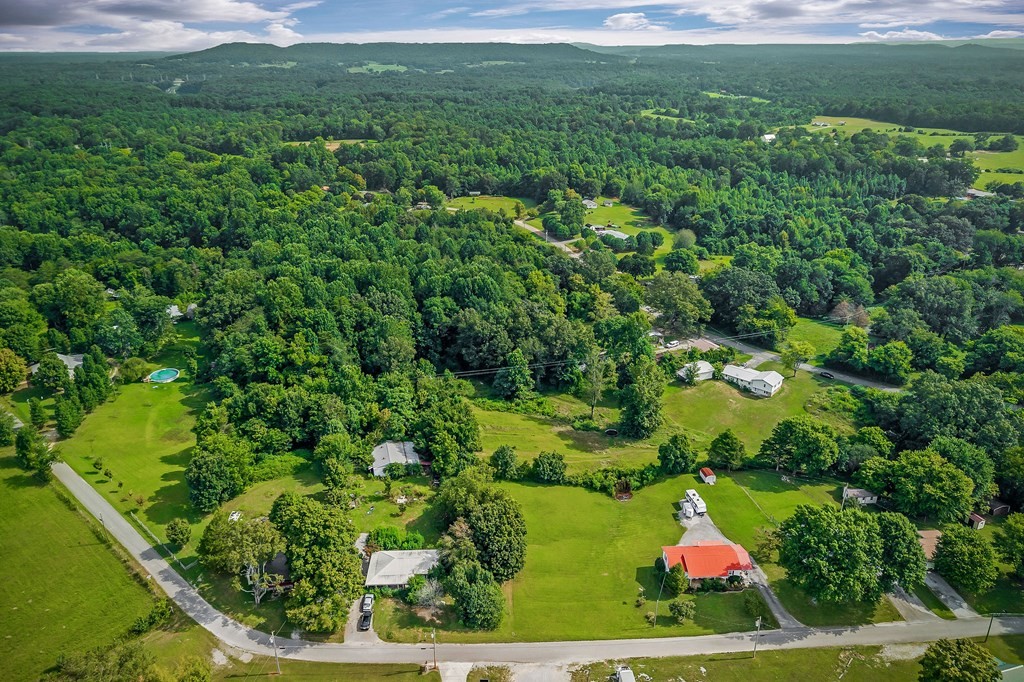 87 Camp Overton Road Rock Island, TN 38581 - Photo 42 of 46 a view of a lake with a park