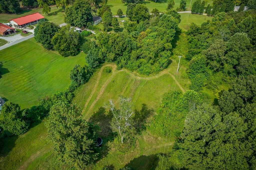 87 Camp Overton Road Rock Island, TN 38581 - Photo 43 of 46 a view of a garden