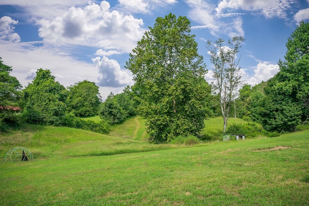 87 Camp Overton Road Rock Island, TN 38581 - Photo 44 of 46 a view of a garden with a building in the background