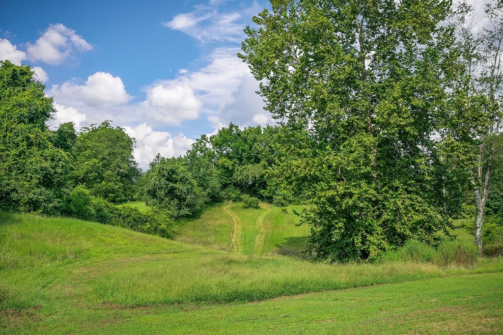 87 Camp Overton Road Rock Island, TN 38581 - Photo 45 of 46 a view of a garden