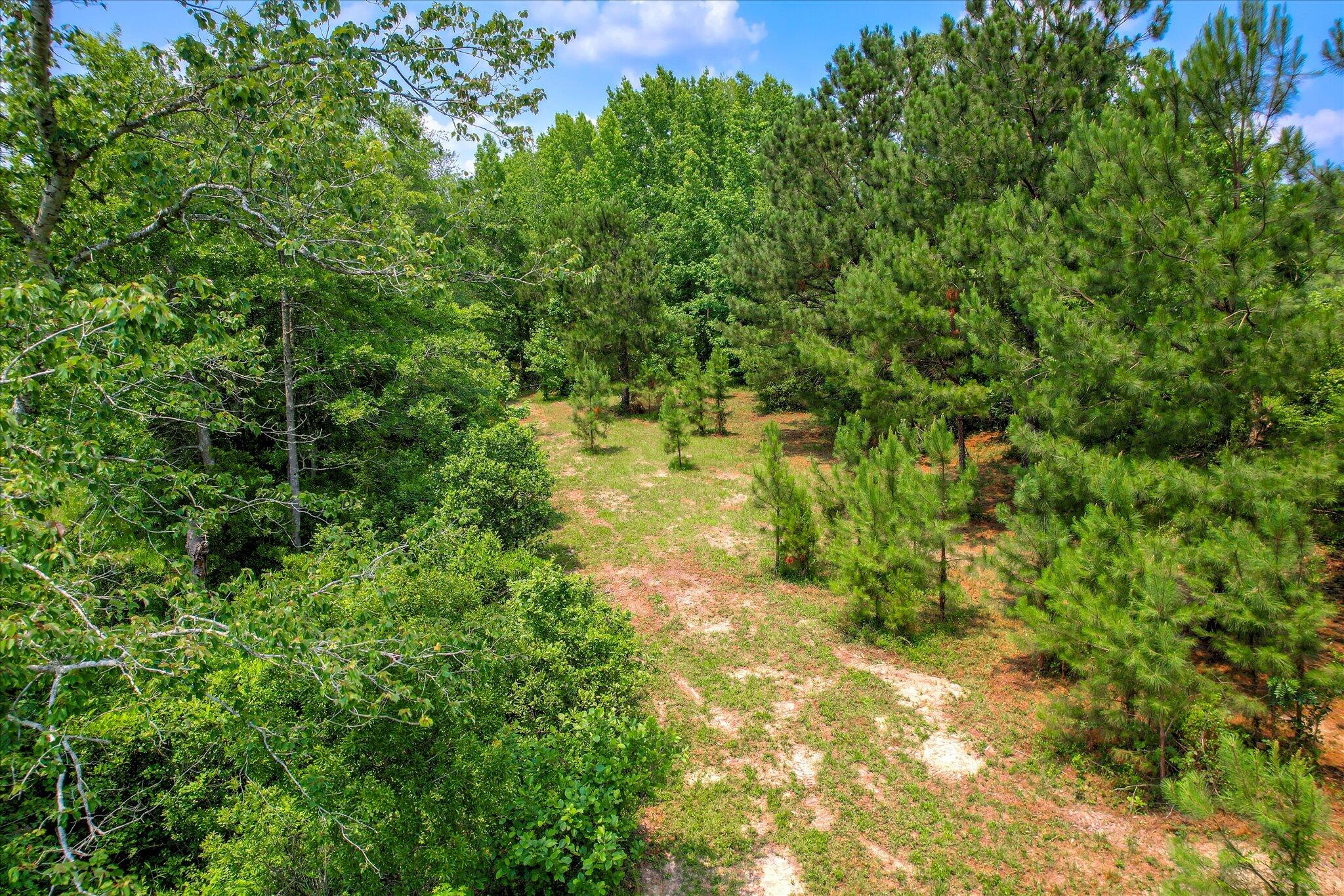 Lot 16 Reeves Street Aiken, SC 29805 - Photo 11 of 15