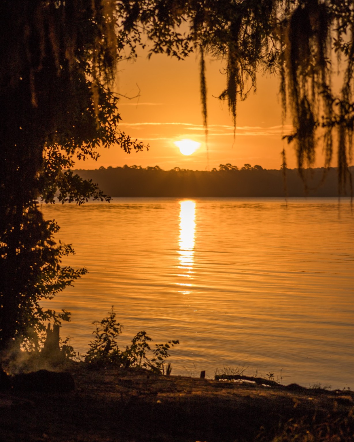 11-29-35 Grey Feather Road Huntsville, TX 77340 - Photo 4 of 22