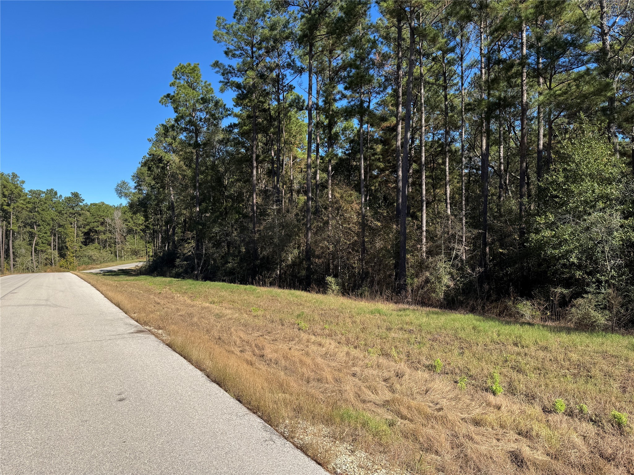 11-29-35 Grey Feather Road Huntsville, TX 77340 - Photo 9 of 22