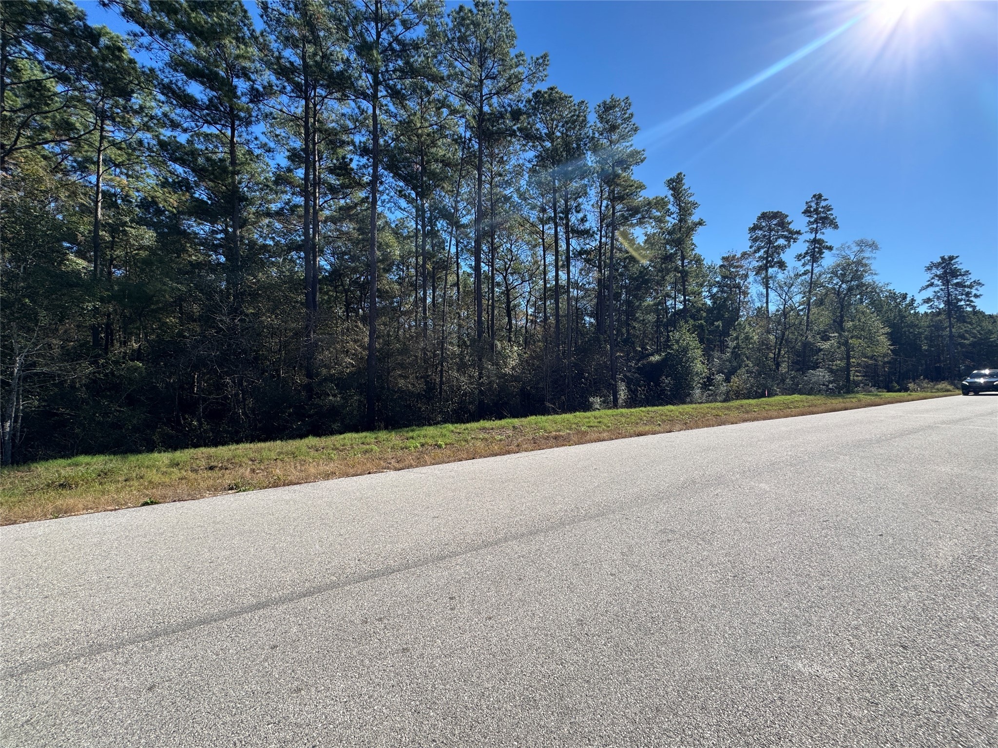 11-29-35 Grey Feather Road Huntsville, TX 77340 - Photo 10 of 22