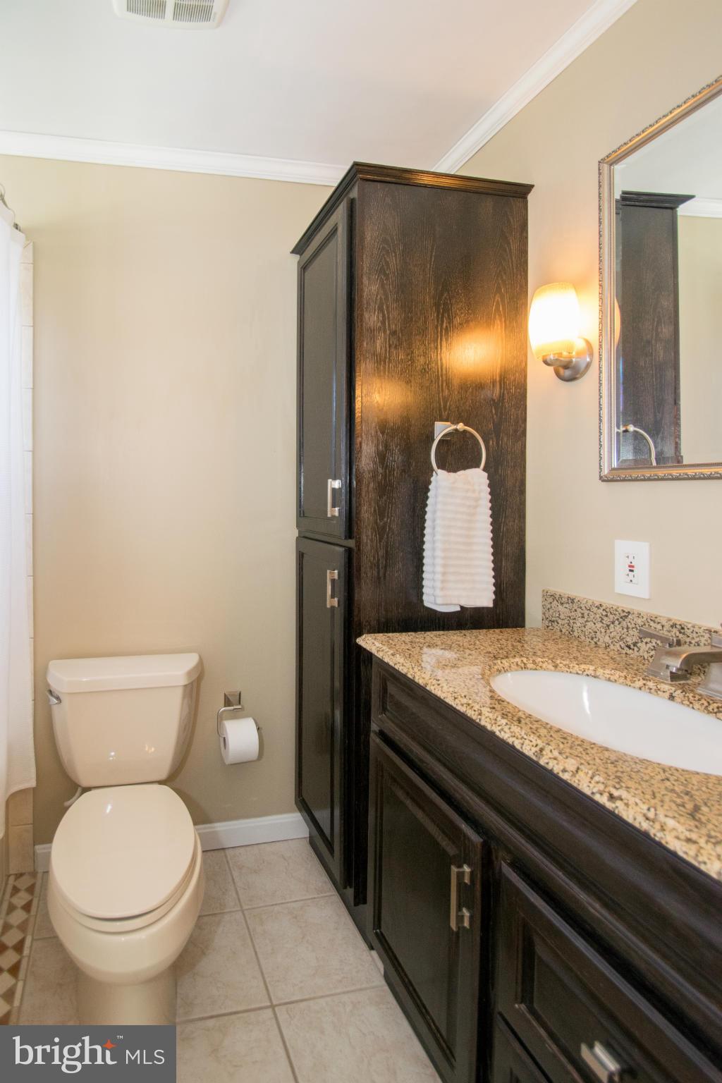 9015 Fieldchat Road Baltimore, MD 21236 - Photo 18 of 30 Bath (Master)